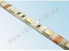 LED лента 5050/60 герметичная (IP65) standart